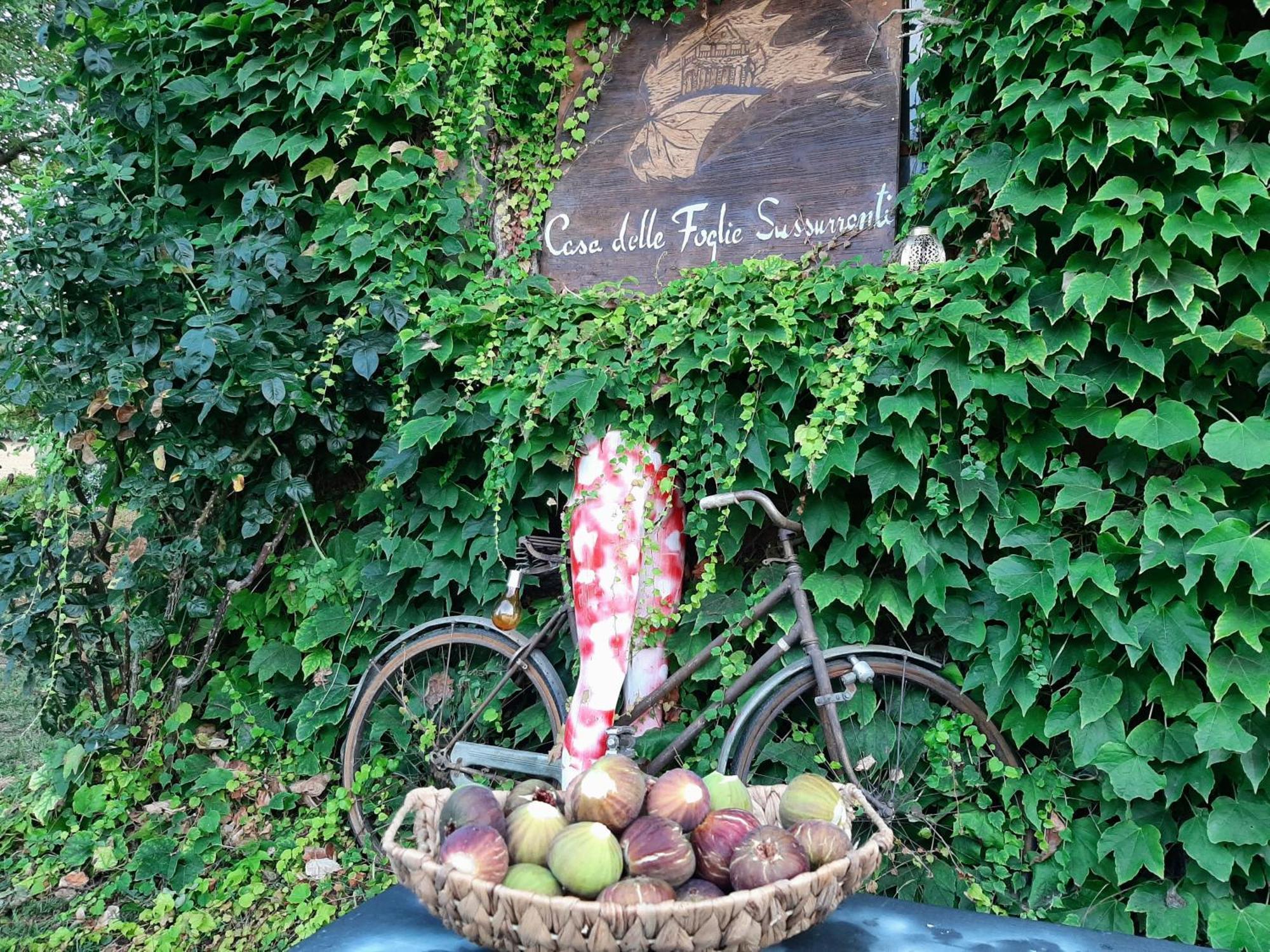 아스티 Casa Delle Foglie Sussurranti 빌라 외부 사진